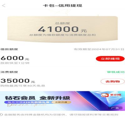 羊小咩额度使用技巧：正确方式