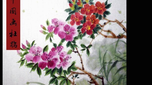 揭秘“套花呗”背后的信用风险与法律边界