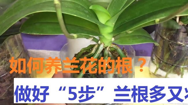 花呗能直接提现吗？深度解读其运作逻辑与避坑指南