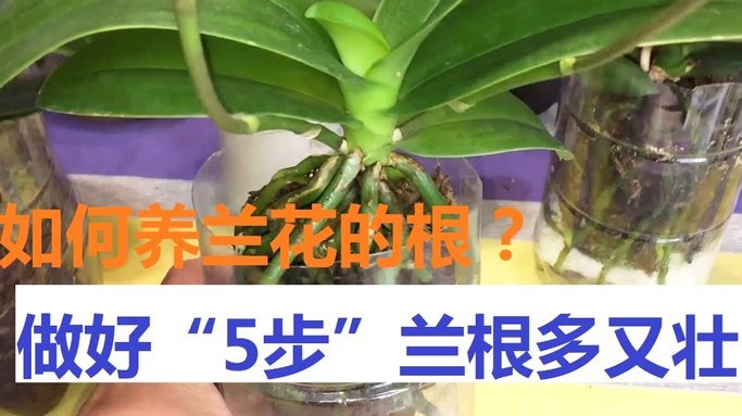 拿去花的取现怎么没有了 平台呢