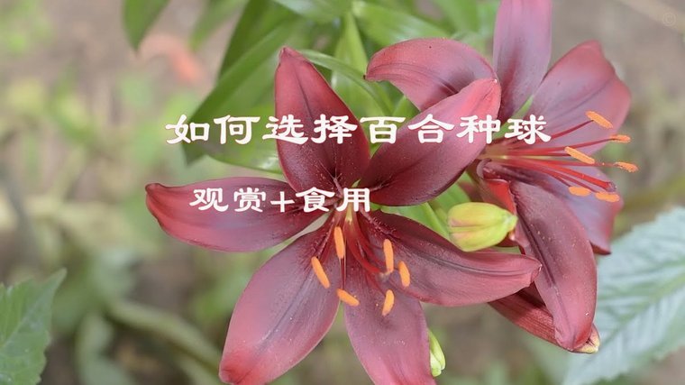 怎样可以套花呗出来用