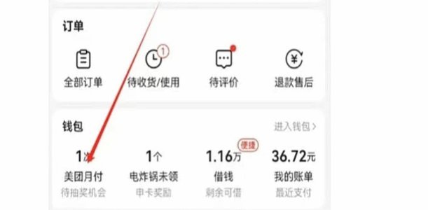 美团月付里有钱但是不能支付