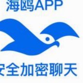 海鸥花呗：贴心助手，生活好帮手