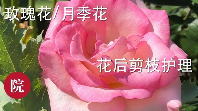 花呗套现：风险远超想象
