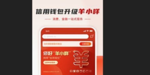羊小咩提现后放款失败问题
