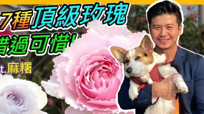 花呗秒到平台常见套路解析