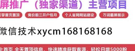 羊小咩套现：数字资产监管乱局