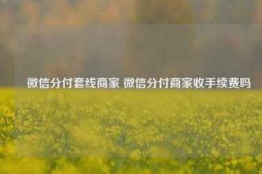 分付套现手续费怎么算