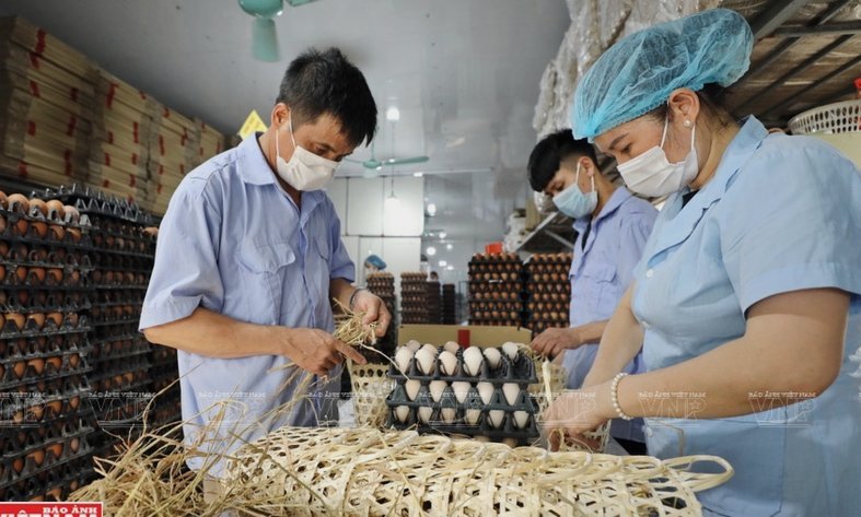 羊小咩购物额度怎么回收取现使用技巧大公开