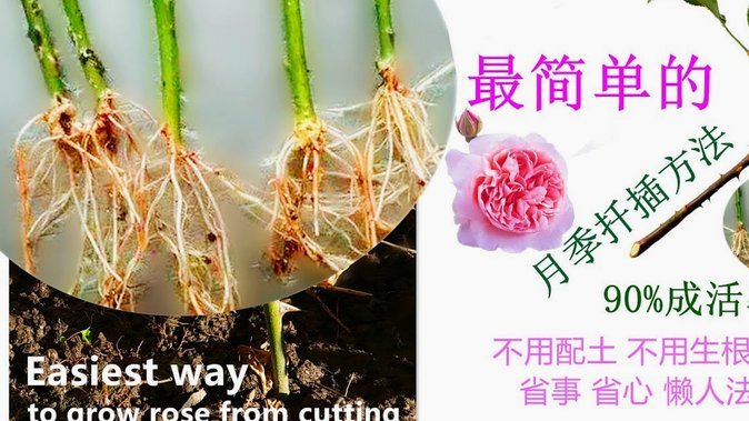 携程拿去花取现方法