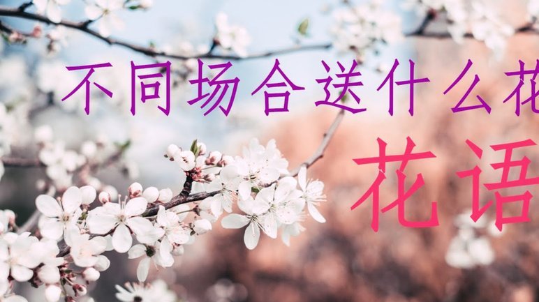 花呗秒套平台 怎么还款
