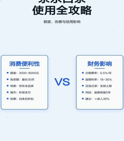 白条额度使用全攻略：动态调整与信用积累