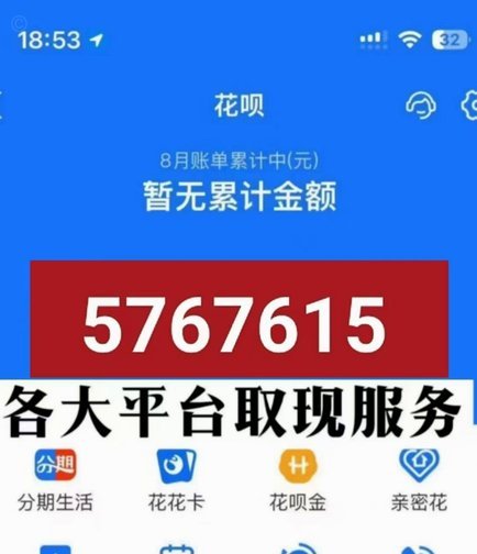 哪里能套白条秒到的