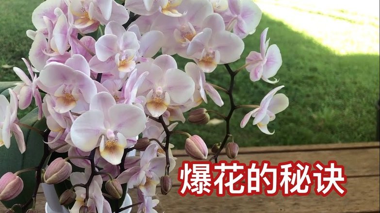 海鸥花呗怎么高效还款