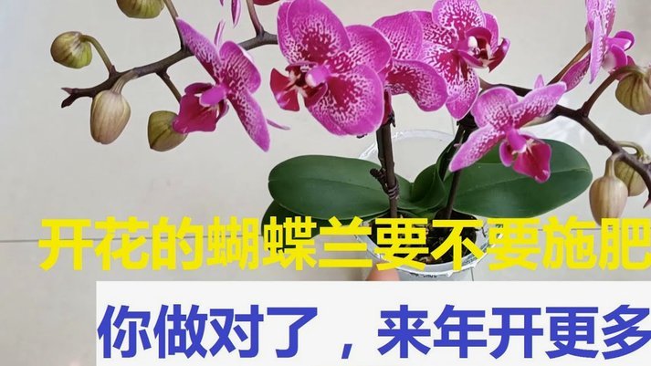 花呗套现靠谱吗？风险大揭秘