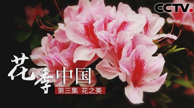 花呗兑现商家 套现可靠吗