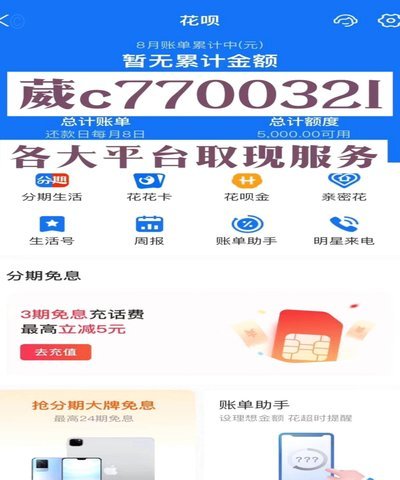 白条加油额度：扫码可行吗？