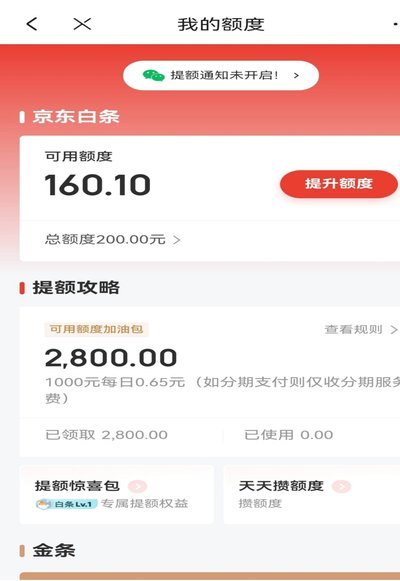 白条加油额度能扫码扫出来吗