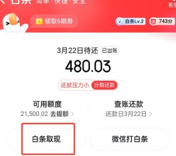 白条提现遇到问题？如何快速联系客服解决