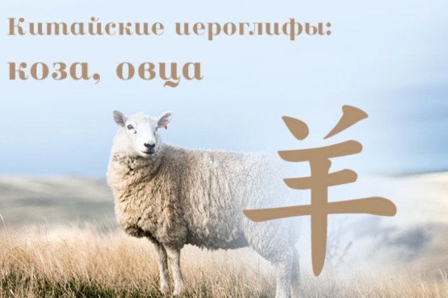 羊小咩便荔卡额度提现出来