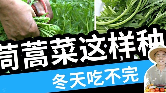 花呗还款指南：轻松搞定还款流程