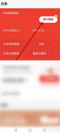 得物额度取现 现在能用吗