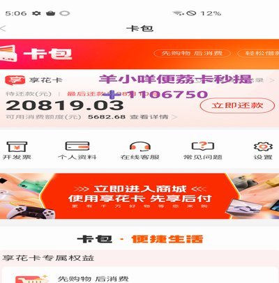 羊小咩的额度如何刷出来