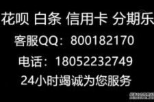 分期乐客服热线如何快速找到？