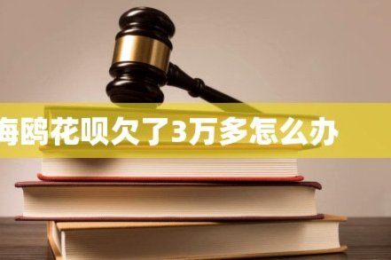 海鸥花呗平台现状：消费生态与风控挑战并存