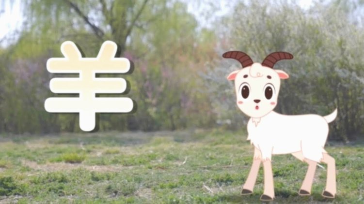 羊小咩回收：专业的靠谱选择