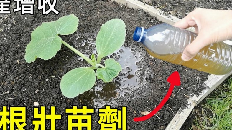 拿去花有什么用