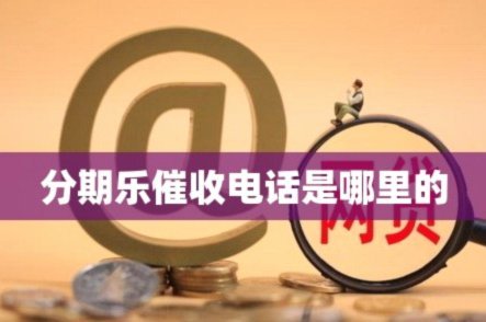 分期乐是那个省份的