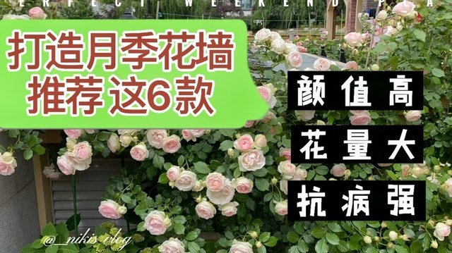花呗秒到账二维码 平台是真的吗