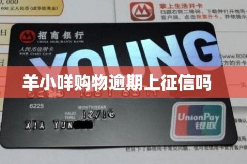 羊小咩怎么提前还清