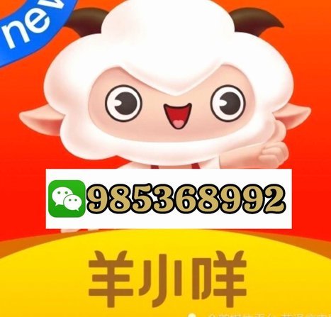 羊小咩如何提现指南