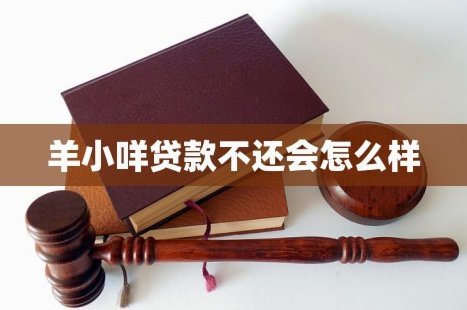 羊小咩贷款：便捷与安全并重的信贷选择？