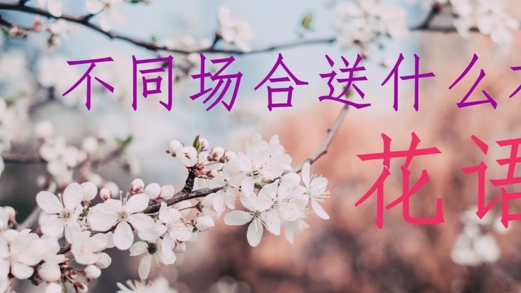 花呗20000额度提现机会
