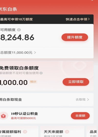 秒到白条：瞬时信用支付革命