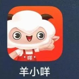 羊小咩放款多久能到账？深度解析背后的资金流转秘密
