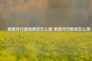 美团月付提现：额度变现有门道