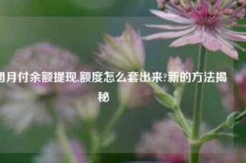 美团月付怎么样提现