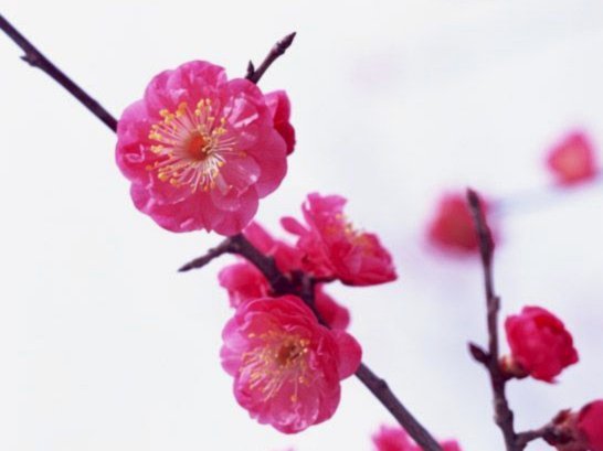 套现花呗违法吗