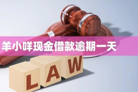 揭秘：羊小咩借款如何轻松获得批准？