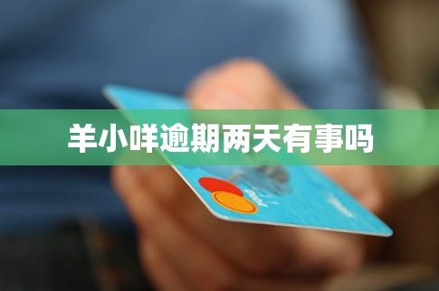 羊小咩借款容易通过吗