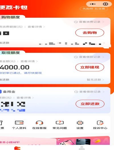 羊小咩取现额度：稳定背后是监管